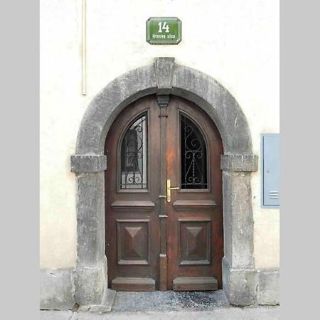 Appartement Old Town 14 à Ljubljana Extérieur photo
